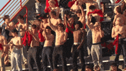 Terps Football Fans GIF by Maryland Terrapins