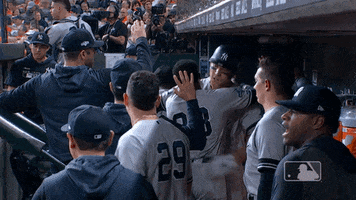 New York Yankees Sport GIF by MLB