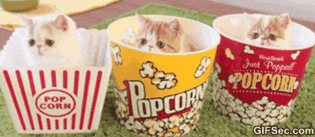 popcorn GIF
