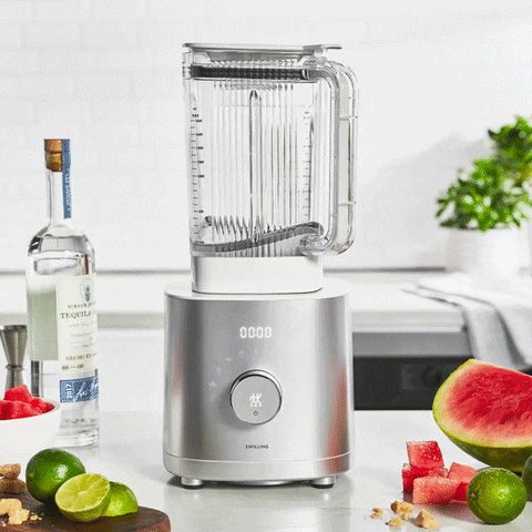 zwilling_usa giphyupload GIF