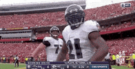 Regular Season Football GIF by NFL