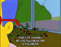 bart simpson episode 6 GIF