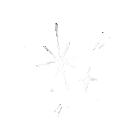 Sparkle Bling Sticker