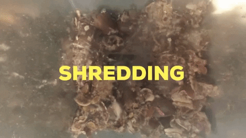 tobiaperipateticocecchin giphygifmaker GIF