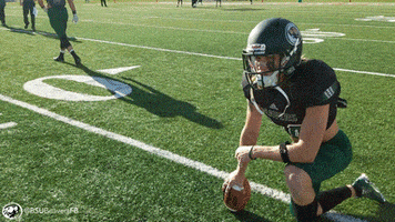 BSUBeavers bemidji state bsubeavers bsubeaversfootball beaver territory GIF