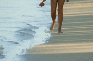 bachelorau GIF by The Bachelor Australia