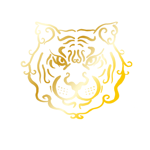 soyporkus giphyupload aladdin ariel tigre GIF