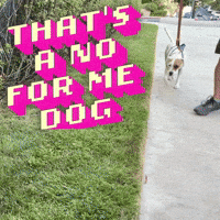 That's a no for me dog