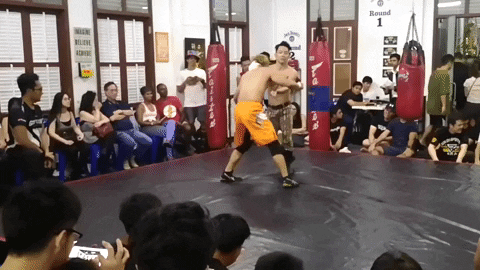 ladykiller giphygifmaker rock bottom rockbottom ladykiller GIF