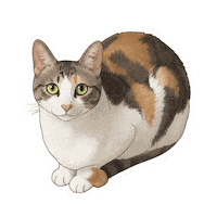Cute Cat Sticker