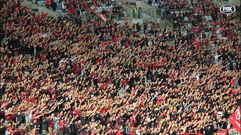 wswanderersfc giphyupload clap fans west GIF