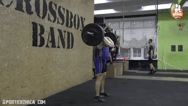 bodybuilding-and-fitness giphyupload tolchok GIF