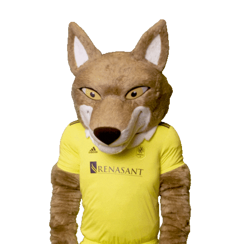 Thinking Mascot Sticker by Nashville SC