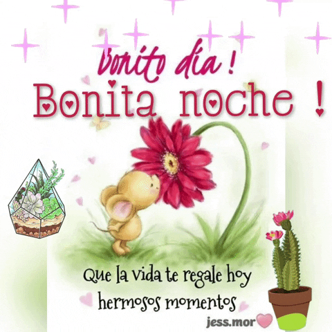 lolasurez giphyattribution GIF