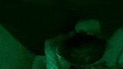 Music Video Kidding GIF by aldn