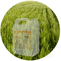Stolleruy Sticker by Stoller Argentina