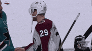 ice hockey sport GIF by NHL