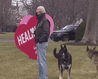 Joe Biden Dog GIF by GIPHY News
