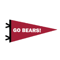 Lenoir Rhyne Hickory Sticker by Lenoir-Rhyne University