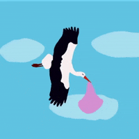 Baby GIF by Leofine