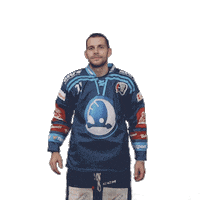 Hockey Applause Sticker by HC Škoda Plzeň