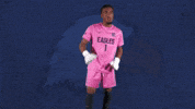 Goalkeeper Keeper GIF by Carson-Newman Athletics