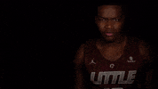 Littlerockmbb2020 GIF by Little Rock Athletics