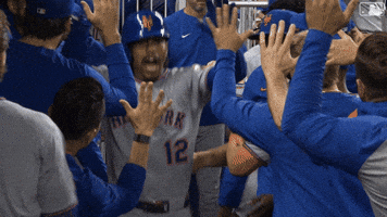 Home Run Celebration GIF by New York Mets