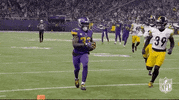 Minnesota Vikings Football GIF by NFL