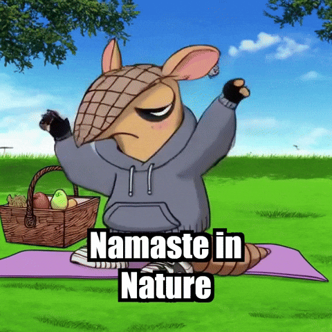 Fitness Yoga GIF by Chillo Dillo