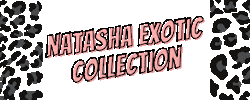 Leopard Print Collection Sticker by NATASHA NAILS