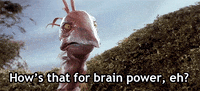 labyrinth intelligence GIF
