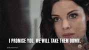 i promise you we will take them down. facial expression GIF by NBC