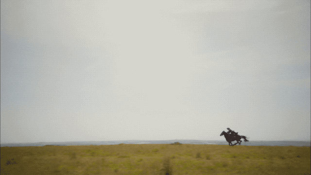 horse ross GIF by MASTERPIECE | PBS