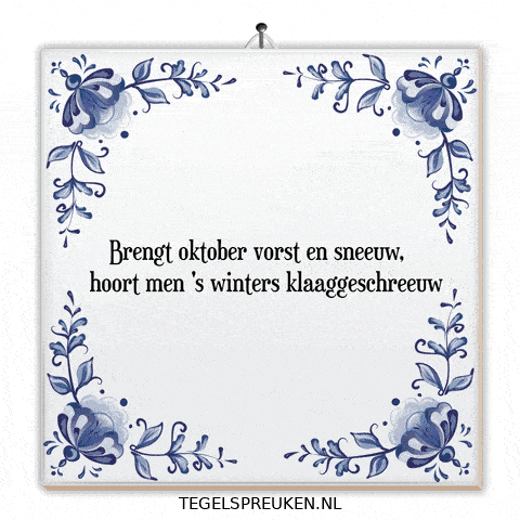 Winter Wijsheid GIF by Tegelspreuken.nl