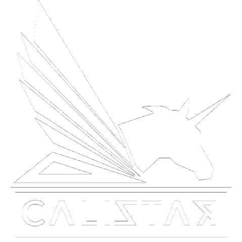 calistarentertainment music star singer unicorn Sticker