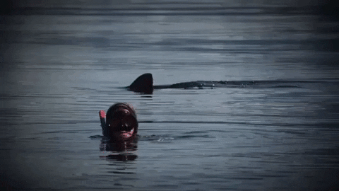 angry danger GIF by Shark Week