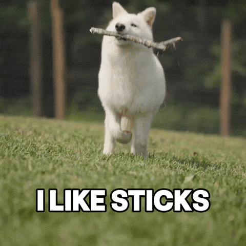 Play Playing GIF by Colossal