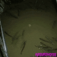 hello mary lou horror movies GIF by absurdnoise