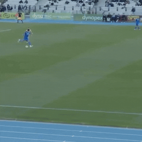 GIF by Football Australia