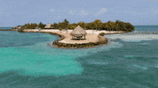 muyonoresorts  GIF