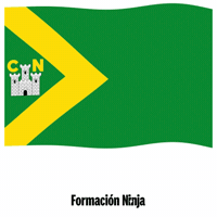 Flag Spain GIF by Formación Ninja