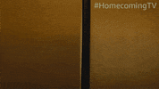 Homecomingtv Homecoming Newmystery GIF by Amazon Prime Video