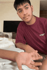 Shayanelhawk GIF
