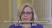 January 6 Insurrection GIF by GIPHY News