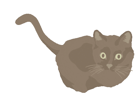 Black Cat Sticker
