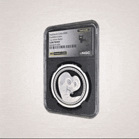 Coin Silver GIF by VeeFriends