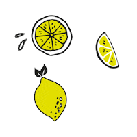 Lemon Citroen Sticker by Publilemon