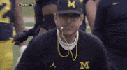 excited michigan football GIF by Michigan Athletics