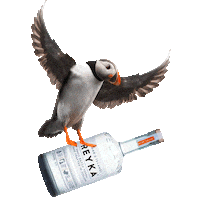 flying happy hour Sticker by Reyka Vodka